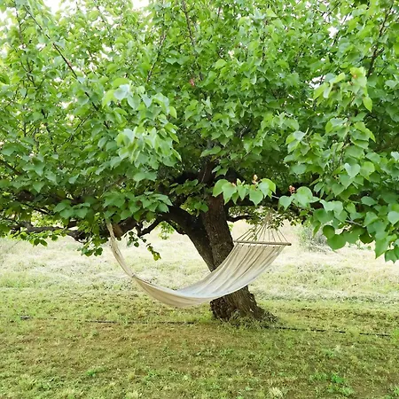 Tatil Evi Trullo Pinuccio *